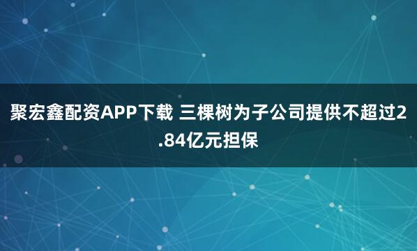 聚宏鑫配資APP下載 三棵樹為子公司提供不超過2.84億元擔保
