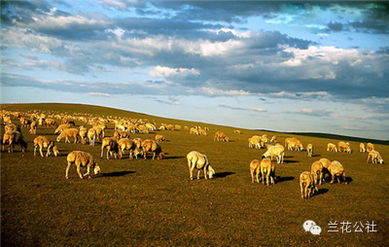 呼倫貝爾，不僅有最美的夏天，還有童話般的金秋——農(nóng)林牧漁的豐盈畫卷